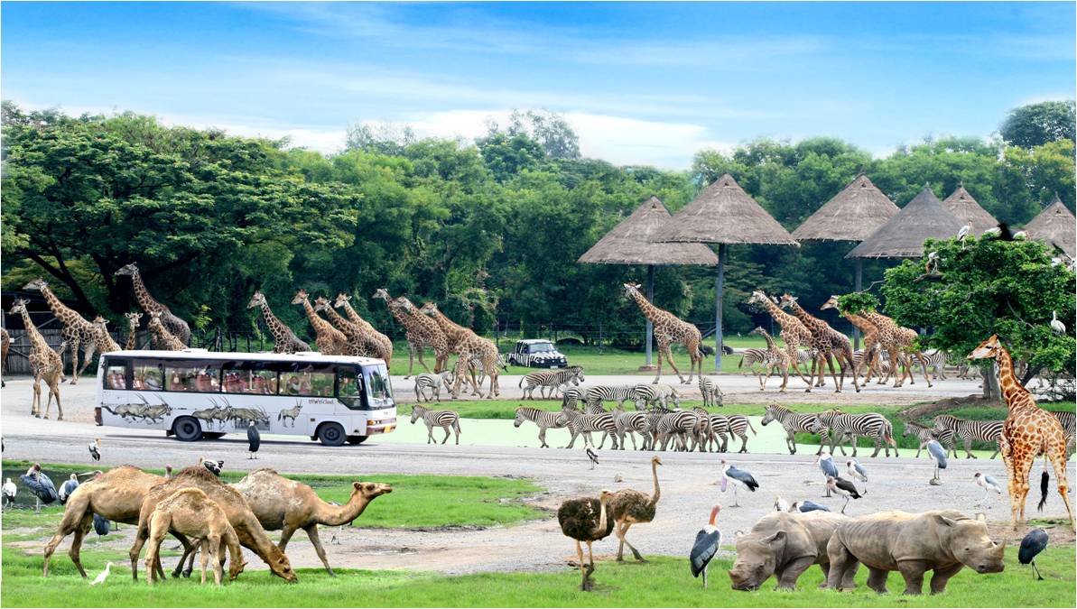 Vườn bách thú Safari World